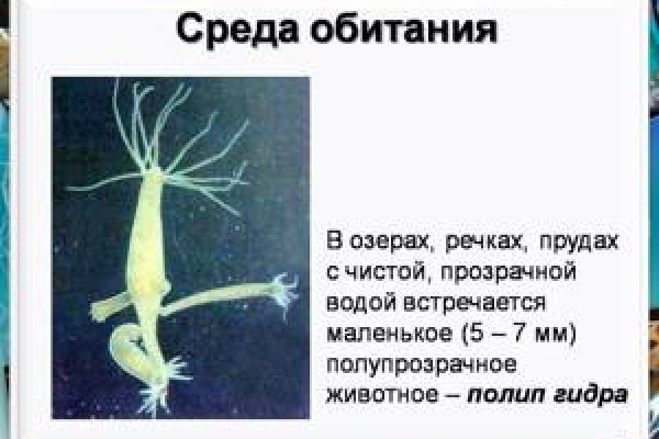 Ссылка кракен kr2web in